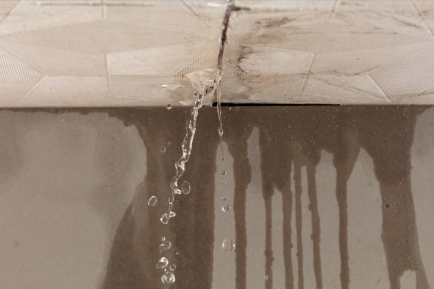 Professional Water Damage Inspection technician working in Gibbsboro, NJ